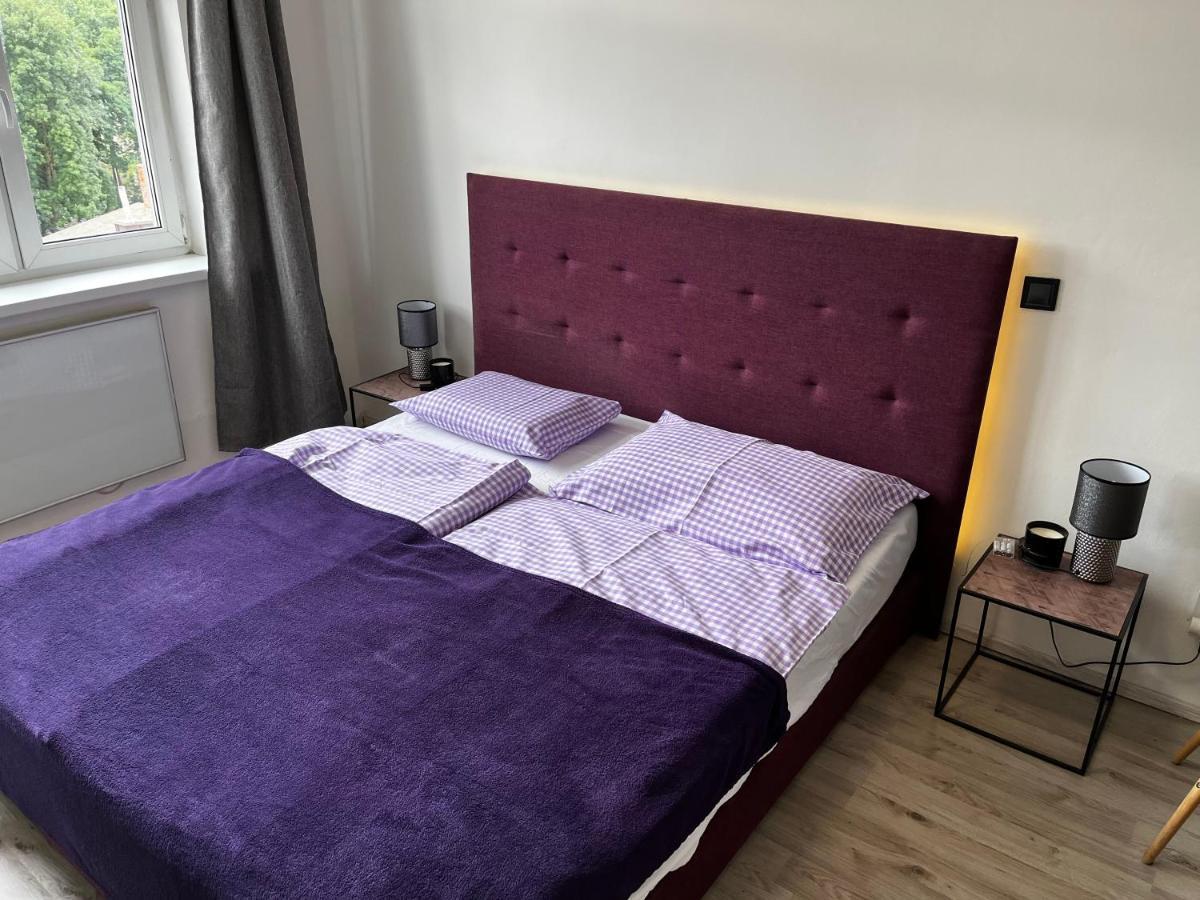 Large 3 Bedroom Apartment With City Skyline View Karlovy Vary Exterior photo